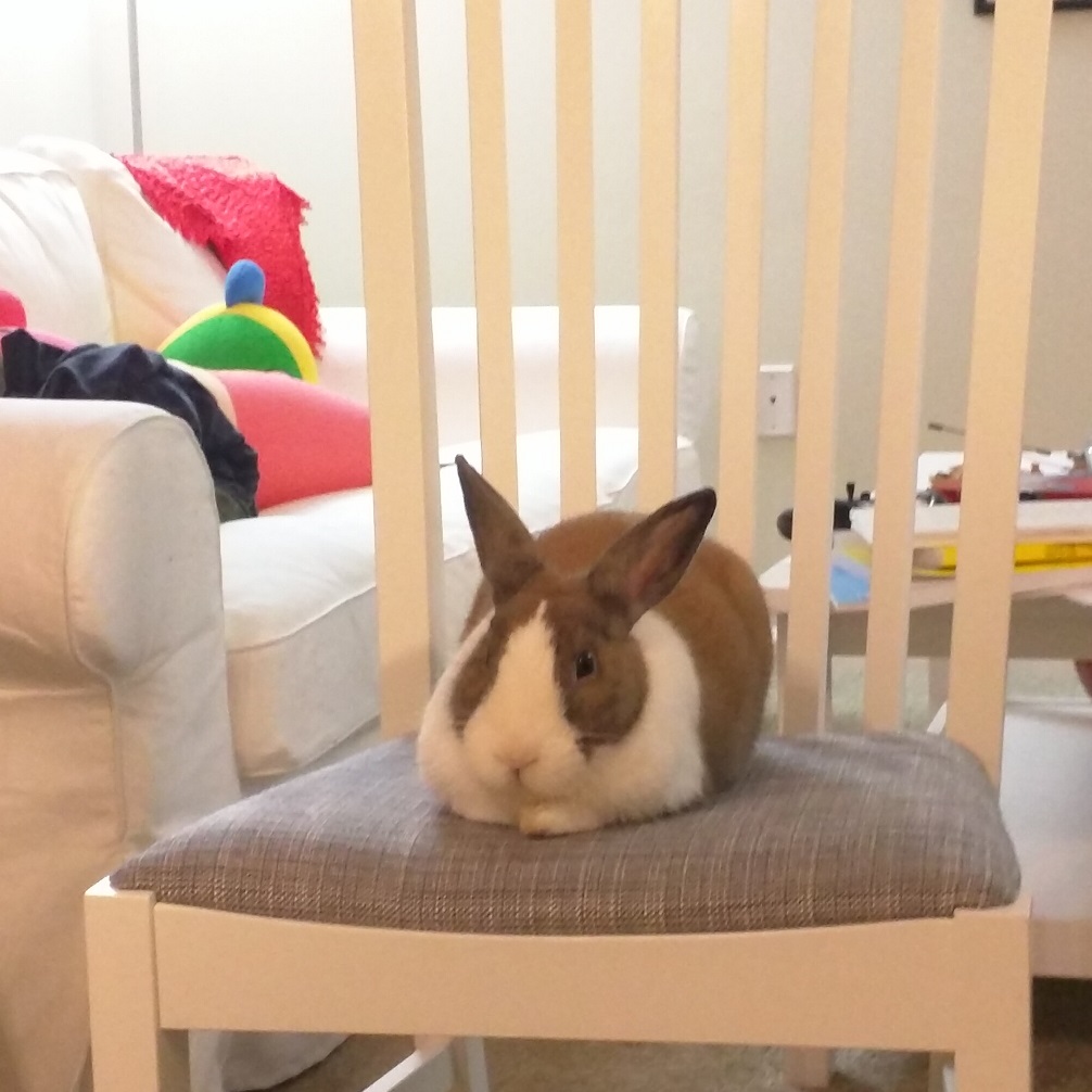 Not a picture of Richard Rast