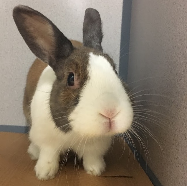 Not a picture of Richard Rast